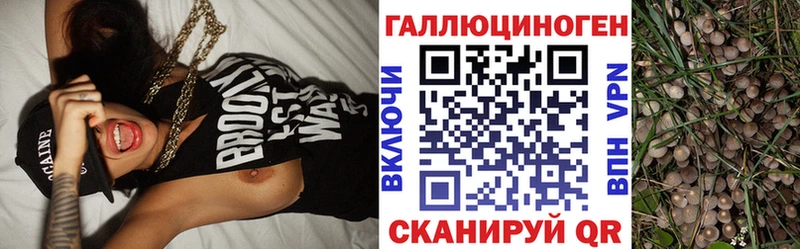 Галлюциногенные грибы Cubensis  Ядрин 